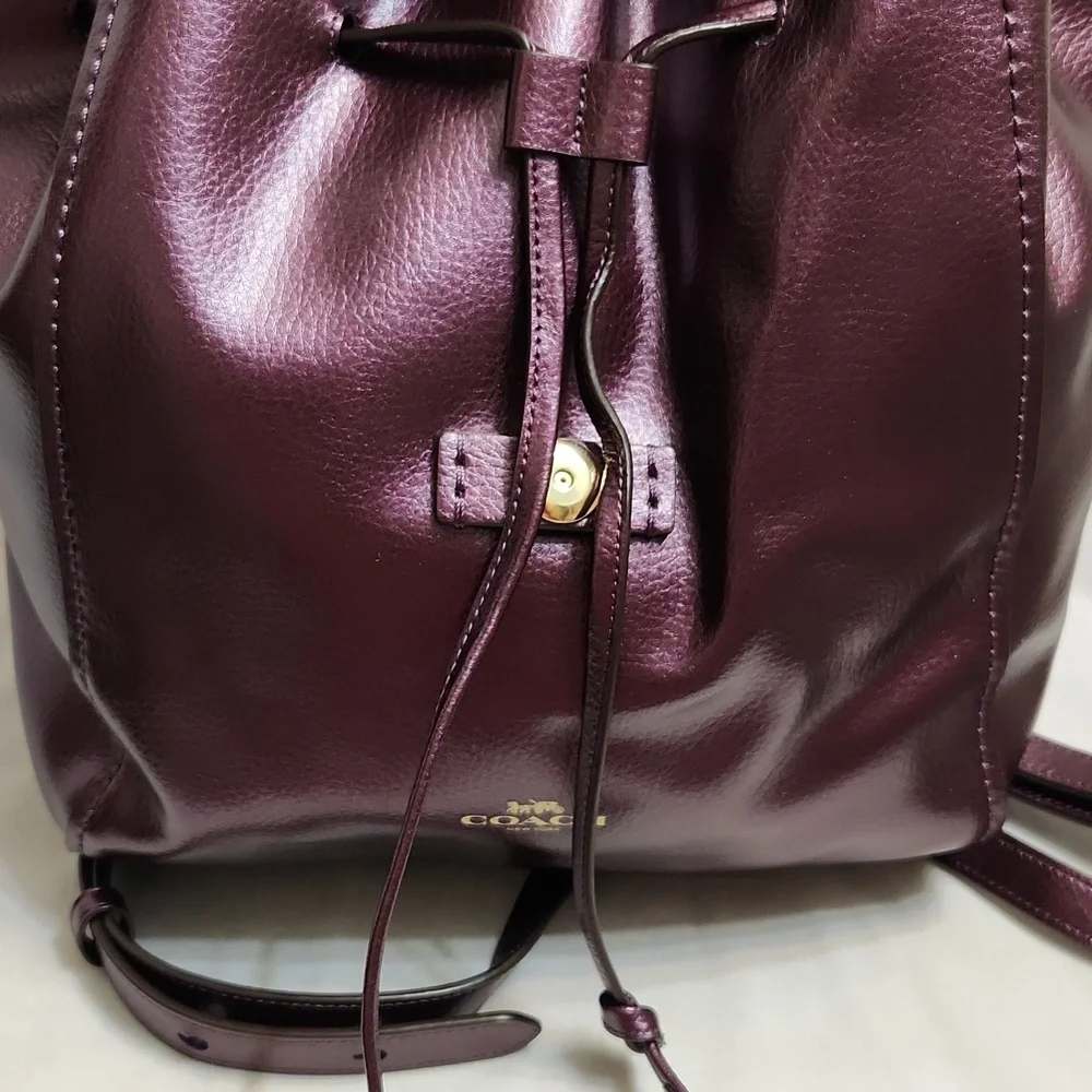 Coach Derby Purple Metallic Leather Backpack - Picture 5 of 16